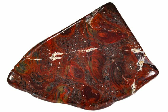 Polished Stromatolite (Collenia) - Minnesota #108578